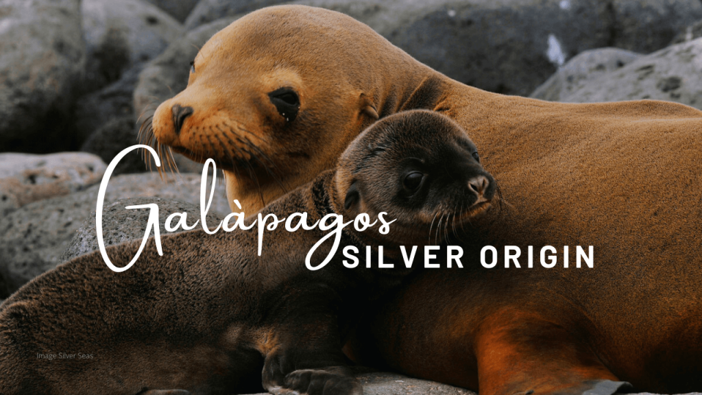 Silver origin Galapagos