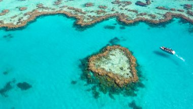 Spotlight on The Whitsundays: Things to see and do when you visit the Whitsundays
