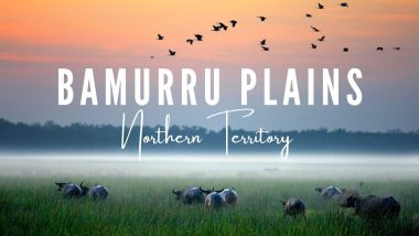 Bamurru Plains